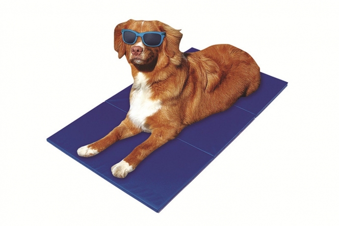 Pet-Star Kühlmatte 100 x 60 cm